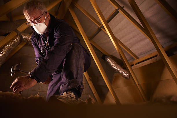 Best Insulation Installation Services in Riverdale, UT